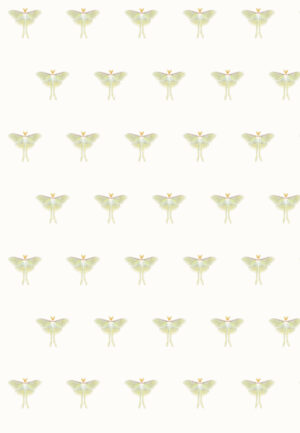 Close-up of the clean Luna Moth wrapping-paper pattern using Naomi Gennevieve Baker's original moth photograph with the background removed.