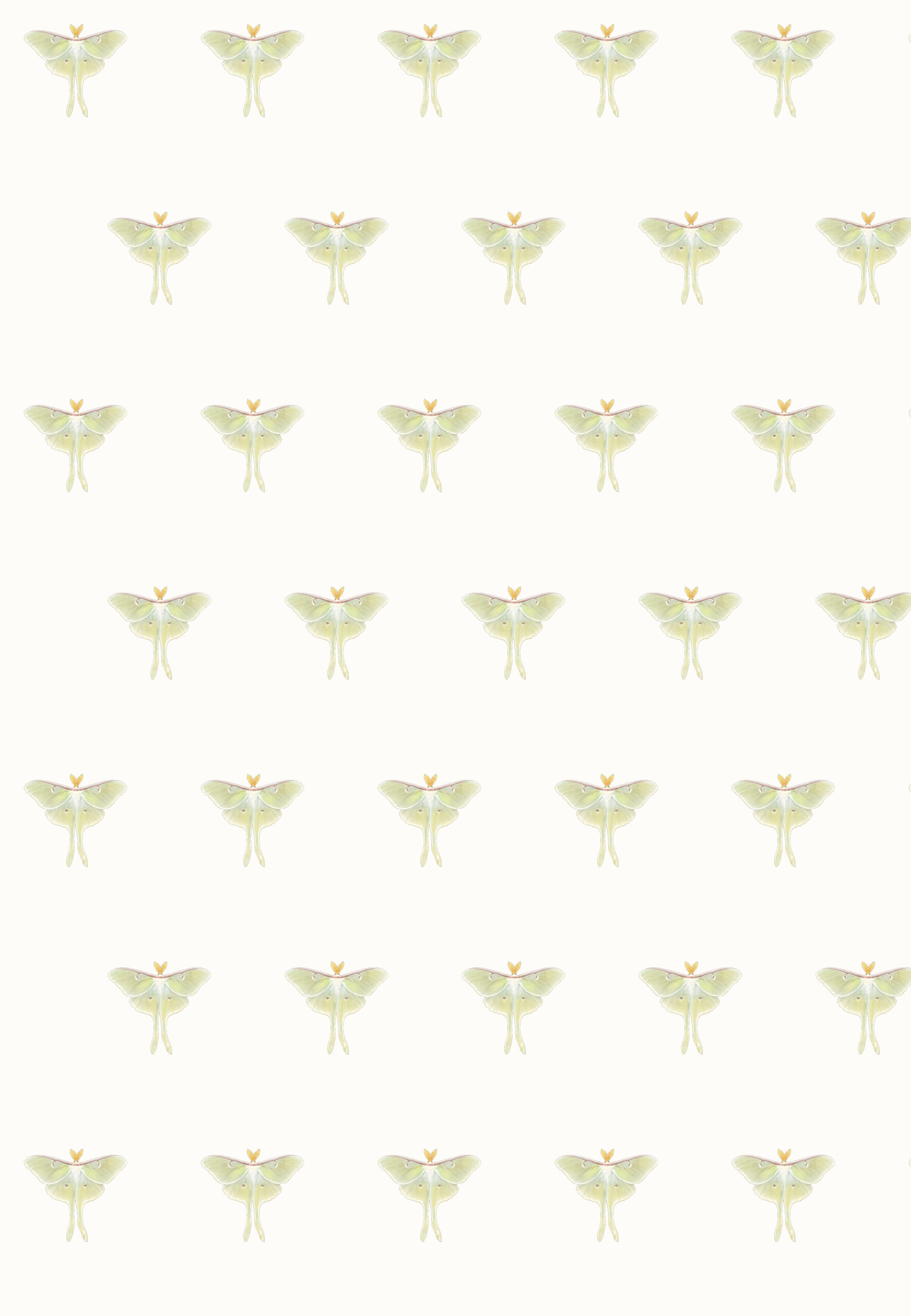 Close-up of the clean Luna Moth wrapping-paper pattern using Naomi Gennevieve Baker's original moth photograph with the background removed.