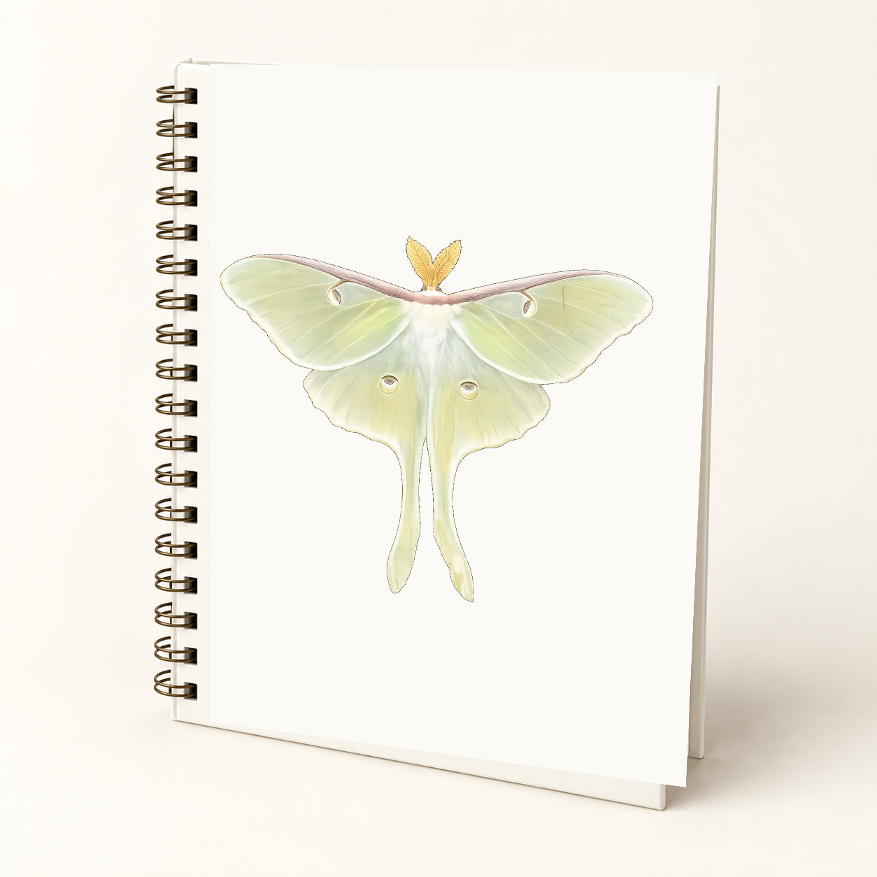 Luna Original Photo hard cover Wire-O journal mockup featuring Naomi Gennevieve Baker’s approved isolated Luna moth photograph on an ivory cover.